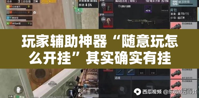 玩家辅助神器“随意玩怎么开挂”其实确实有挂
