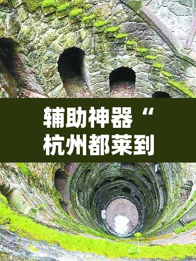 辅助神器“杭州都莱到底能不能开挂”(透视)其实确实有挂