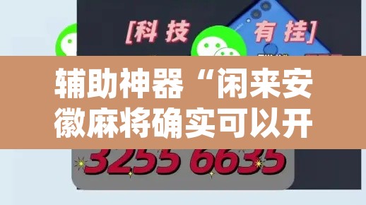 辅助神器“闲来安徽麻将确实可以开挂”(透视)其实确实有挂