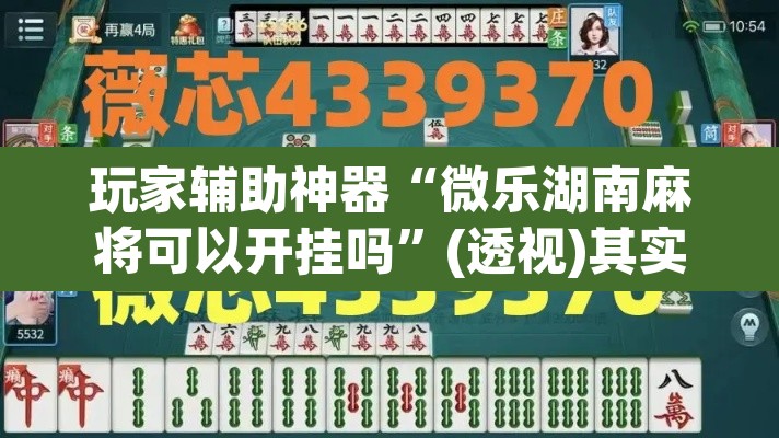玩家辅助神器“微乐湖南麻将可以开挂吗”(透视)其实确实有挂