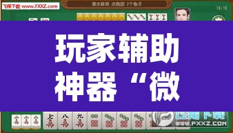玩家辅助神器“微乐甘肃麻将万能开挂器通用版	”(透视)其实确实有挂