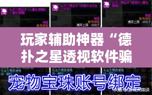 玩家辅助神器“德扑之星透视软件骗局	”(透视)其实确实有挂