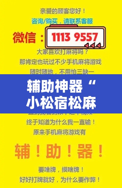 辅助神器“小松宿松麻将可以开挂吗”开挂辅助脚本+详细开挂安装教程