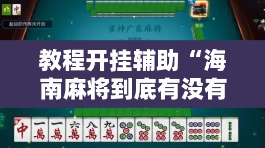 教程开挂辅助“海南麻将到底有没有挂”(透视)其实确实有挂