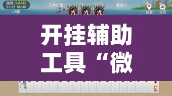 开挂辅助工具“微乐斗地主怎么才能让系统发好牌”(透视挂)辅助透视教程