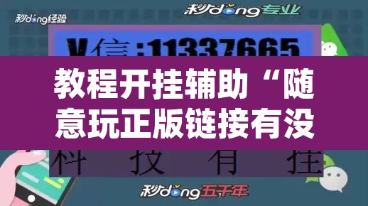 教程开挂辅助“随意玩正版链接有没有挂”(透视挂)辅助透视教程