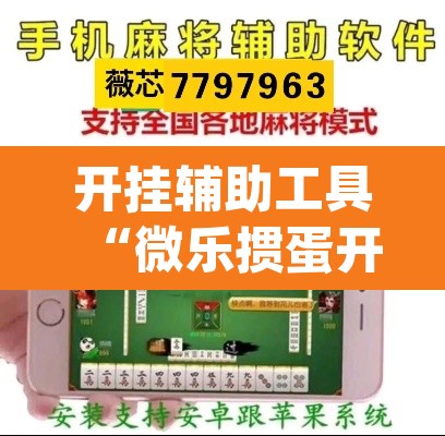 开挂辅助工具“微乐掼蛋开挂下载安装	”(透视挂)辅助透视教程