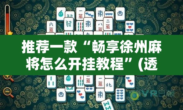 推荐一款“畅享徐州麻将怎么开挂教程”(透视)其实确实有挂