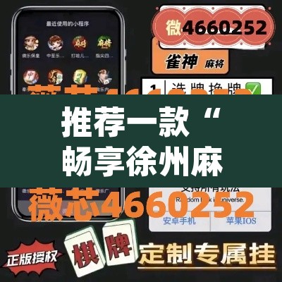 推荐一款“畅享徐州麻将怎么开挂教程”(透视)其实确实有挂