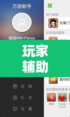 玩家辅助神器“手机打牌开挂辅助神器”其实确实有挂