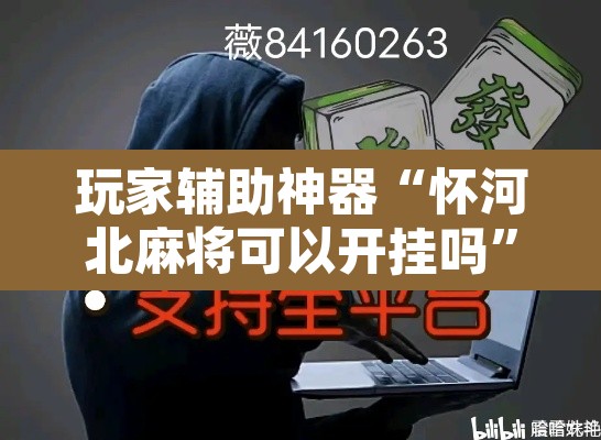 玩家辅助神器“怀河北麻将可以开挂吗”附辅助神器开挂脚本详细步骤
