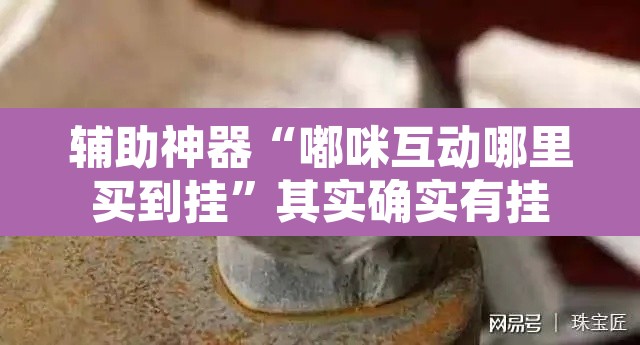 辅助神器“嘟咪互动哪里买到挂”其实确实有挂