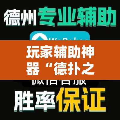 玩家辅助神器“德扑之星开挂透视神器	”(透视挂)辅助透视教程