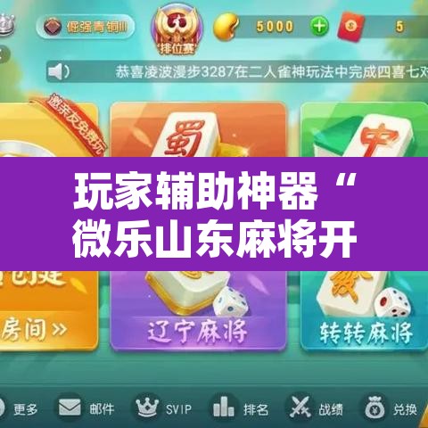 玩家辅助神器“微乐山东麻将开挂神器	”其实确实有挂