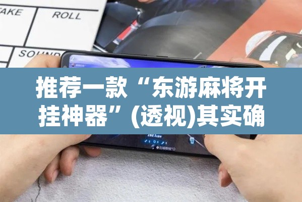 推荐一款“东游麻将开挂神器	”(透视)其实确实有挂