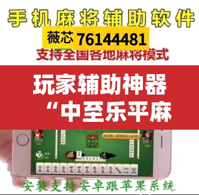 玩家辅助神器“中至乐平麻将其实是可以开挂”(透视挂)辅助透视教程