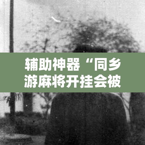 辅助神器“同乡游麻将开挂会被抓吗”(透视)其实确实有挂