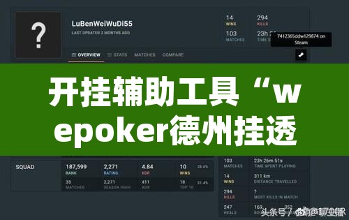 开挂辅助工具“wepoker德州挂透视辅助挂软件下载”其实确实有挂