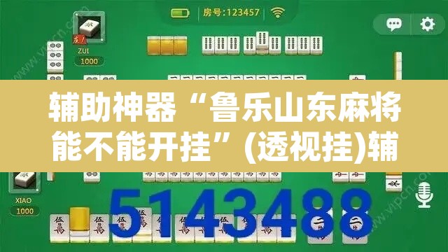 辅助神器“鲁乐山东麻将能不能开挂”(透视挂)辅助透视教程