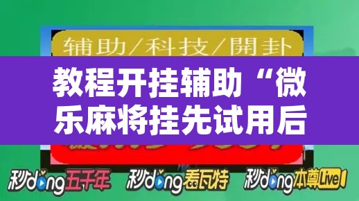 教程开挂辅助“微乐麻将挂先试用后付款”开挂辅助脚本+详细开挂安装教程