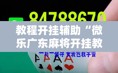 教程开挂辅助“微乐广东麻将开挂教程”(透视)其实确实有挂