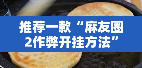 推荐一款“麻友圈2作弊开挂方法	”开挂辅助脚本+详细开挂安装教程