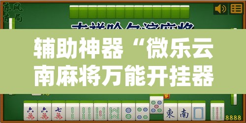 辅助神器“微乐云南麻将万能开挂器	”(透视挂)辅助透视教程