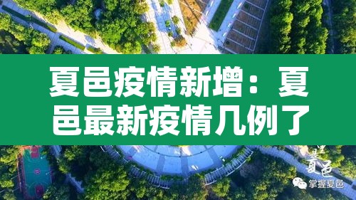夏邑疫情新增：夏邑最新疫情几例了