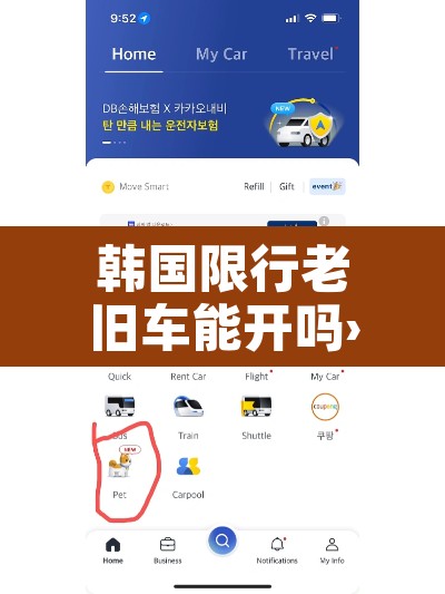韩国限行老旧车能开吗›韩国限号