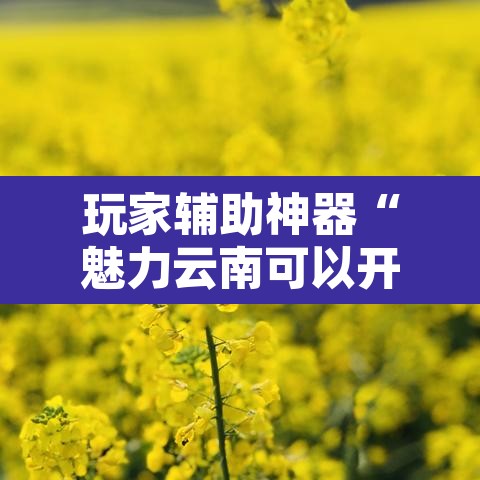 玩家辅助神器“魅力云南可以开挂吗有挂”附辅助神器开挂脚本详细步骤