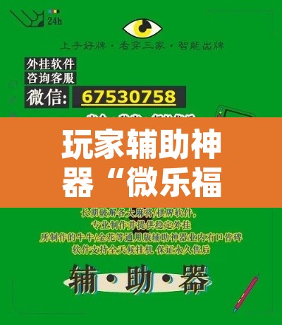 玩家辅助神器“微乐福建麻将万能开挂器”附辅助神器开挂脚本详细步骤