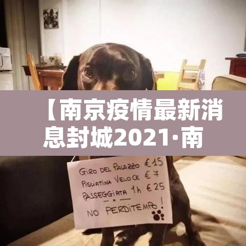 【南京疫情最新消息封城2021·南京疫情终于传出好消息】
