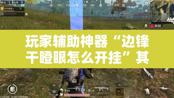 玩家辅助神器“边锋干瞪眼怎么开挂”其实确实有挂