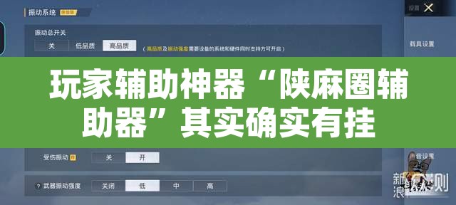 玩家辅助神器“陕麻圈辅助器	”其实确实有挂