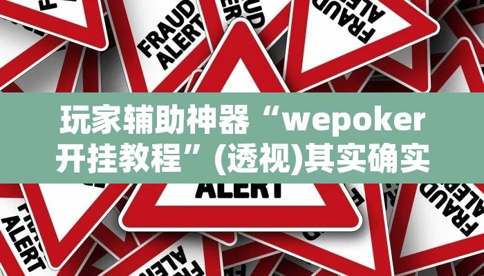 玩家辅助神器“wepoker开挂教程	”(透视)其实确实有挂