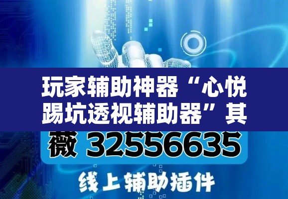玩家辅助神器“心悦踢坑透视辅助器”其实确实有挂