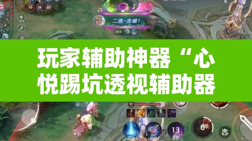 玩家辅助神器“心悦踢坑透视辅助器	”其实确实有挂