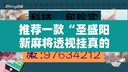 推荐一款“圣盛阳新麻将透视挂真的吗”其实确实有挂