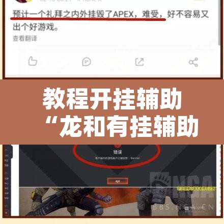 教程开挂辅助“龙和有挂辅助吗”其实确实有挂