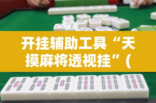 开挂辅助工具“天摸麻将透视挂”(透视)其实确实有挂
