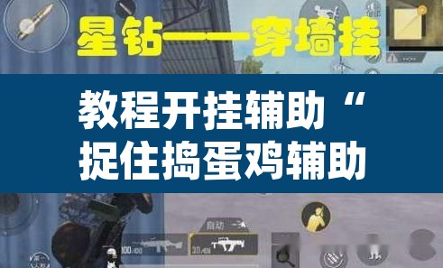 教程开挂辅助“捉住捣蛋鸡辅助开挂	”(透视挂)辅助透视教程