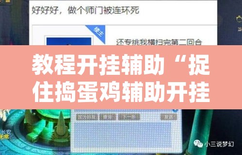 教程开挂辅助“捉住捣蛋鸡辅助开挂”(透视挂)辅助透视教程
