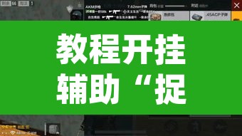 教程开挂辅助“捉住捣蛋鸡辅助开挂”(透视挂)辅助透视教程