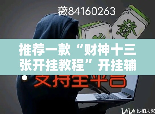 推荐一款“财神十三张开挂教程	”开挂辅助脚本+详细开挂安装教程