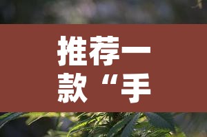 推荐一款“手机麻将必赢神软件”附辅助神器开挂脚本详细步骤