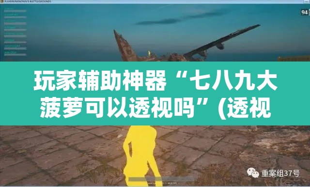玩家辅助神器“七八九大菠萝可以透视吗”(透视挂)辅助透视教程