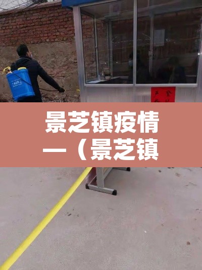 景芝镇疫情—（景芝镇属于哪个县）