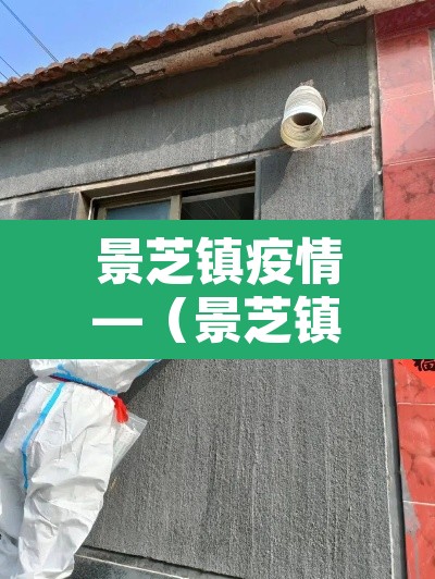 景芝镇疫情—（景芝镇属于哪个县）