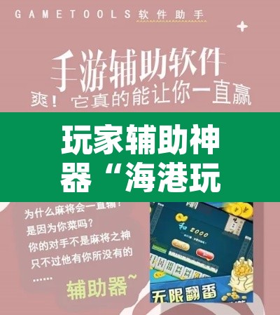 玩家辅助神器“海港玩游戏如何开挂”开挂辅助脚本+详细开挂安装教程