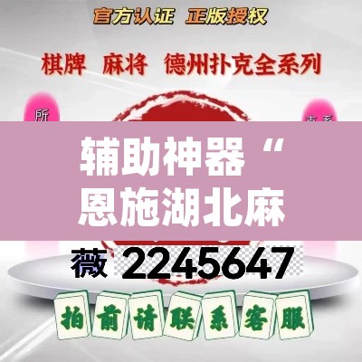辅助神器“恩施湖北麻将有没有挂”(透视挂)辅助透视教程